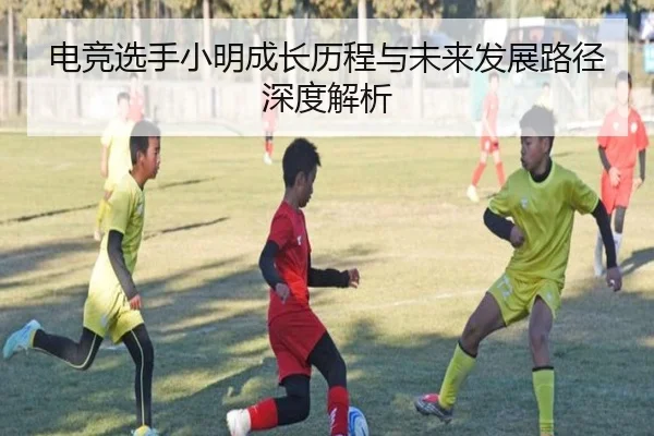 电竞选手小明成长历程与未来发展路径深度解析